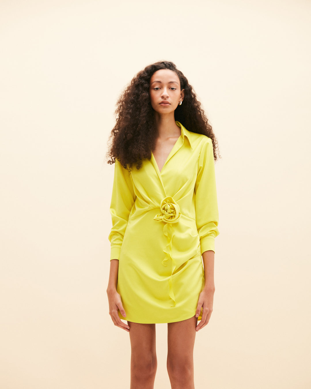 Amanti Lime Dress